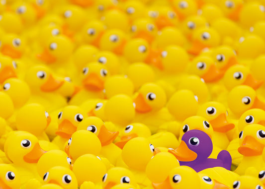 RAVENSBURGER RUBBER DUCKS 1000 PIECE PUZZLE