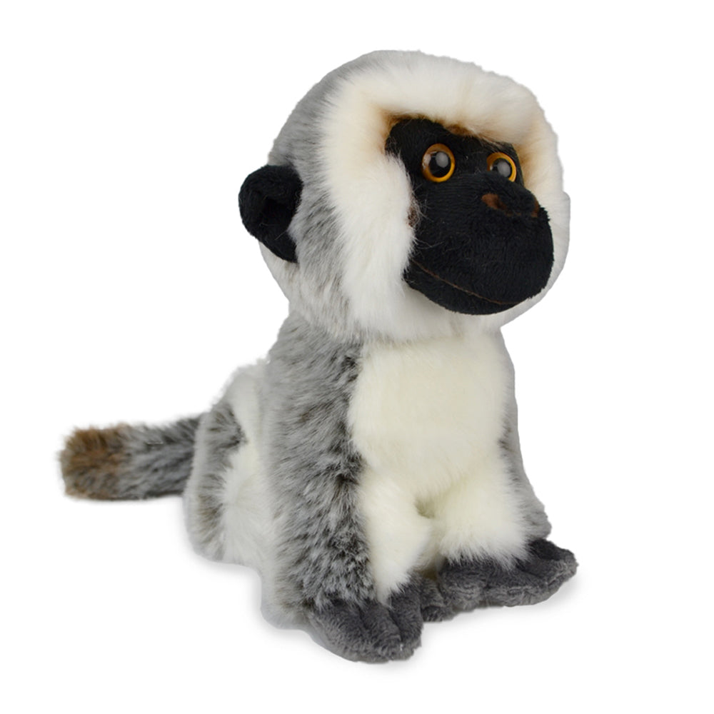KORIMCO VERVET MONKEY LIL FRIENDS PLUSH 18CM