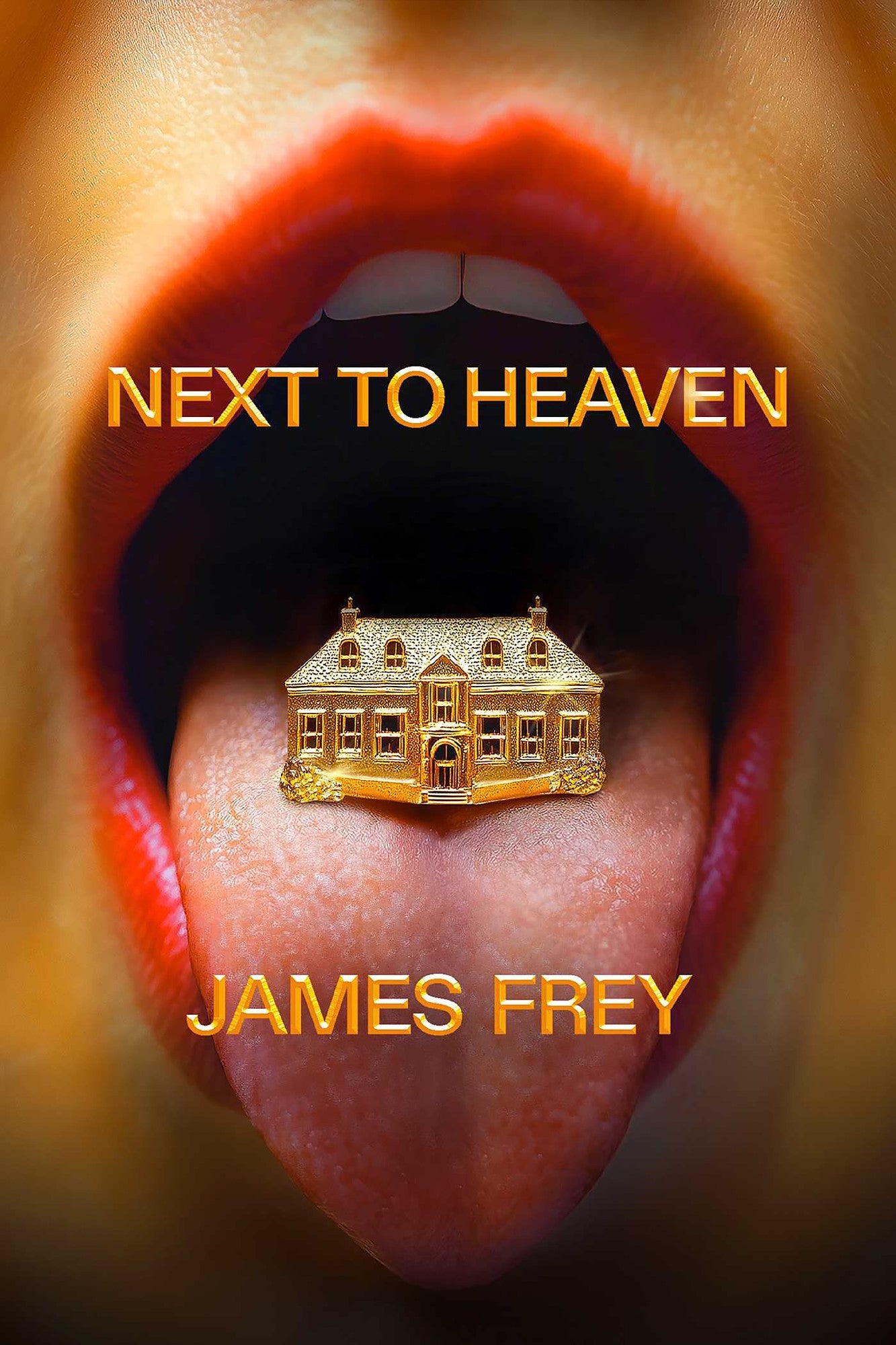 NEXT TO HEAVEN - JAMES FREY