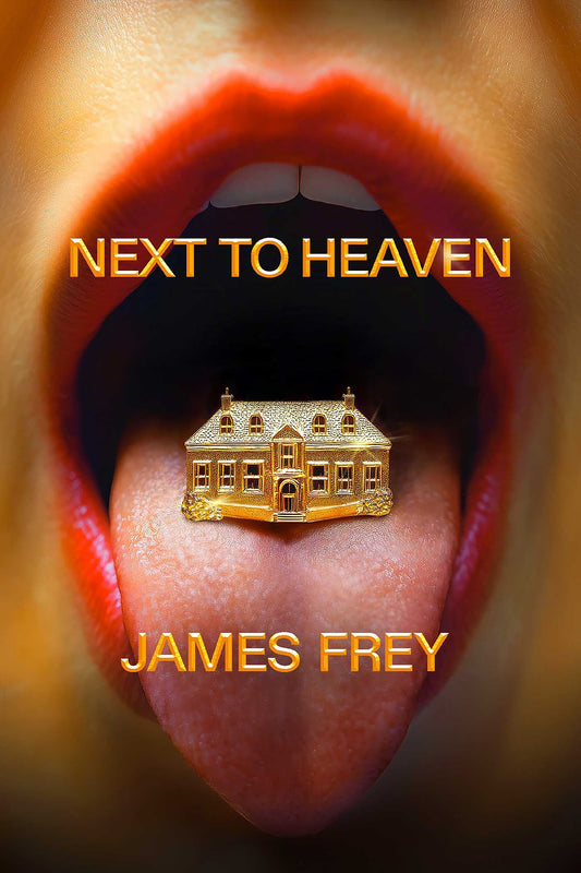 NEXT TO HEAVEN - JAMES FREY