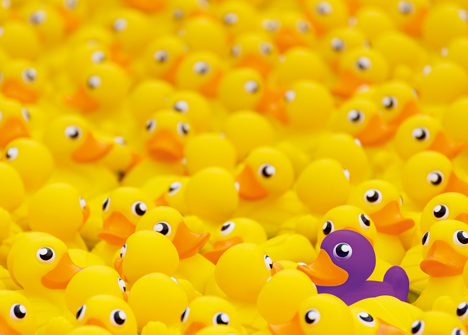 RAVENSBURGER RUBBER DUCKS 1000 PIECE PUZZLE