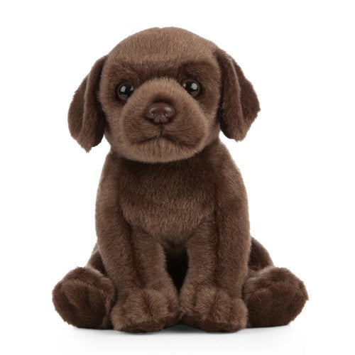 LIVING NATURE - CHOCOLATE LABRADOR PUPPY PLUSH 18CM