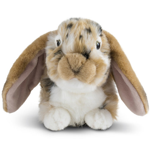 LIVING NATURE BROWN DUTCH LOP EAR RABBIT PLUSH 25CM