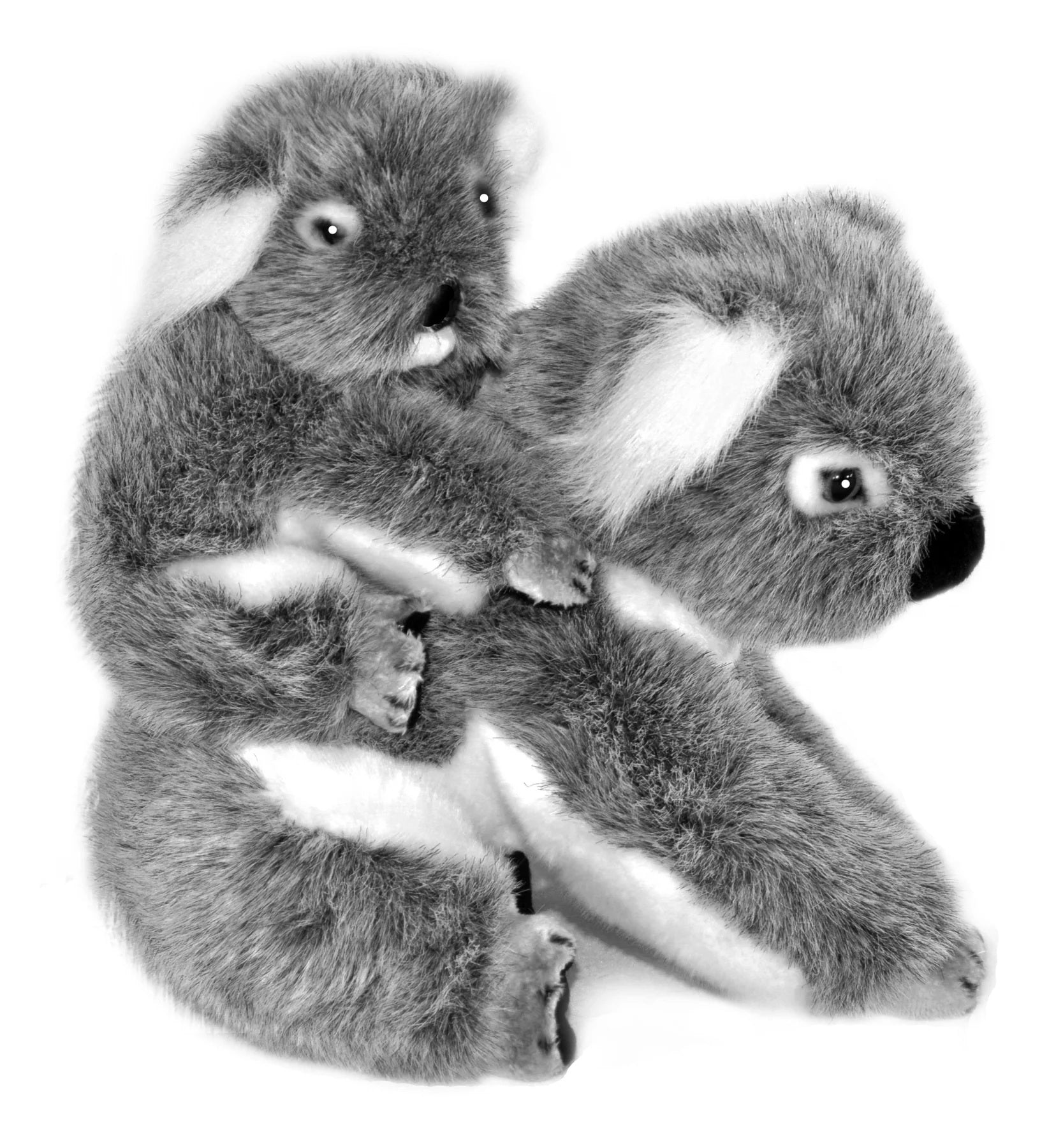BOCHETTA KELLY AND KIRI KOALA AND BABY 23CM PLUSH