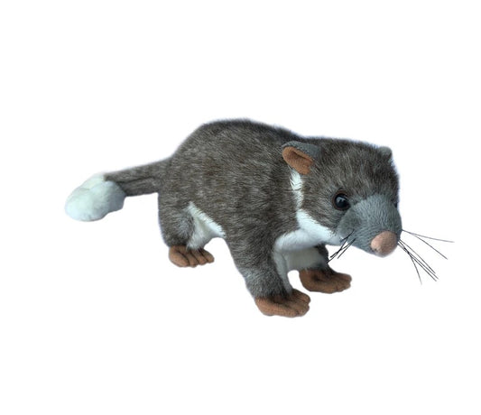 CODY RINGTAIL POSSUM