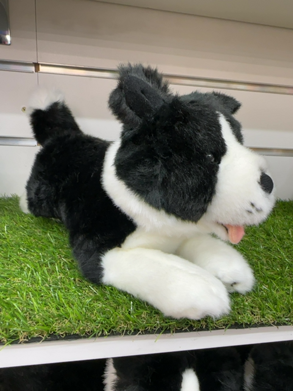 PATCH BORDER COLLIE 28CM FLOPPY