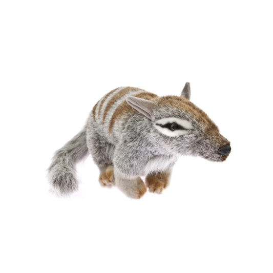 BOCHETTA SHERBET NUMBAT 30CM PLUSH