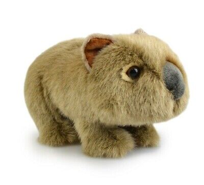 KORIMCO WOMBAT LIL FRIENDS PLUSH 18CM