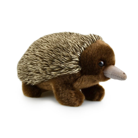 KORIMCO ECHIDNA LIL FRIENDS PLUSH 18CM