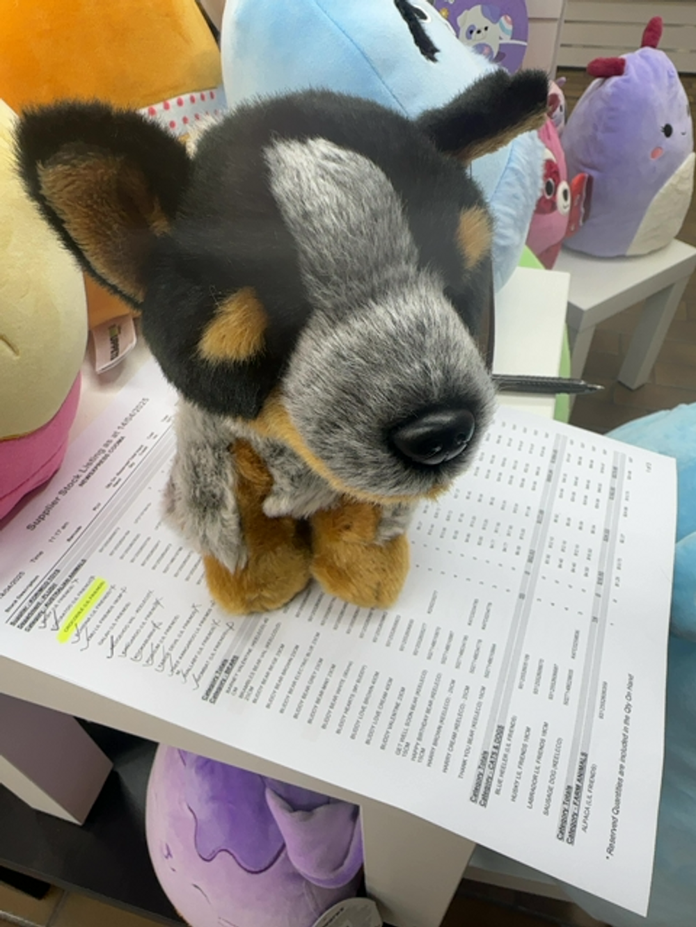 BLUE HEELER (LIL FRIENDS)