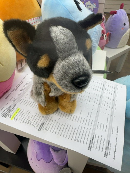 BLUE HEELER (LIL FRIENDS)