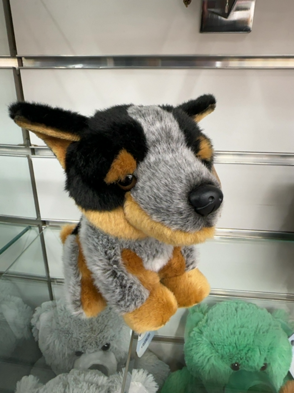BLUE HEELER (LIL FRIENDS)