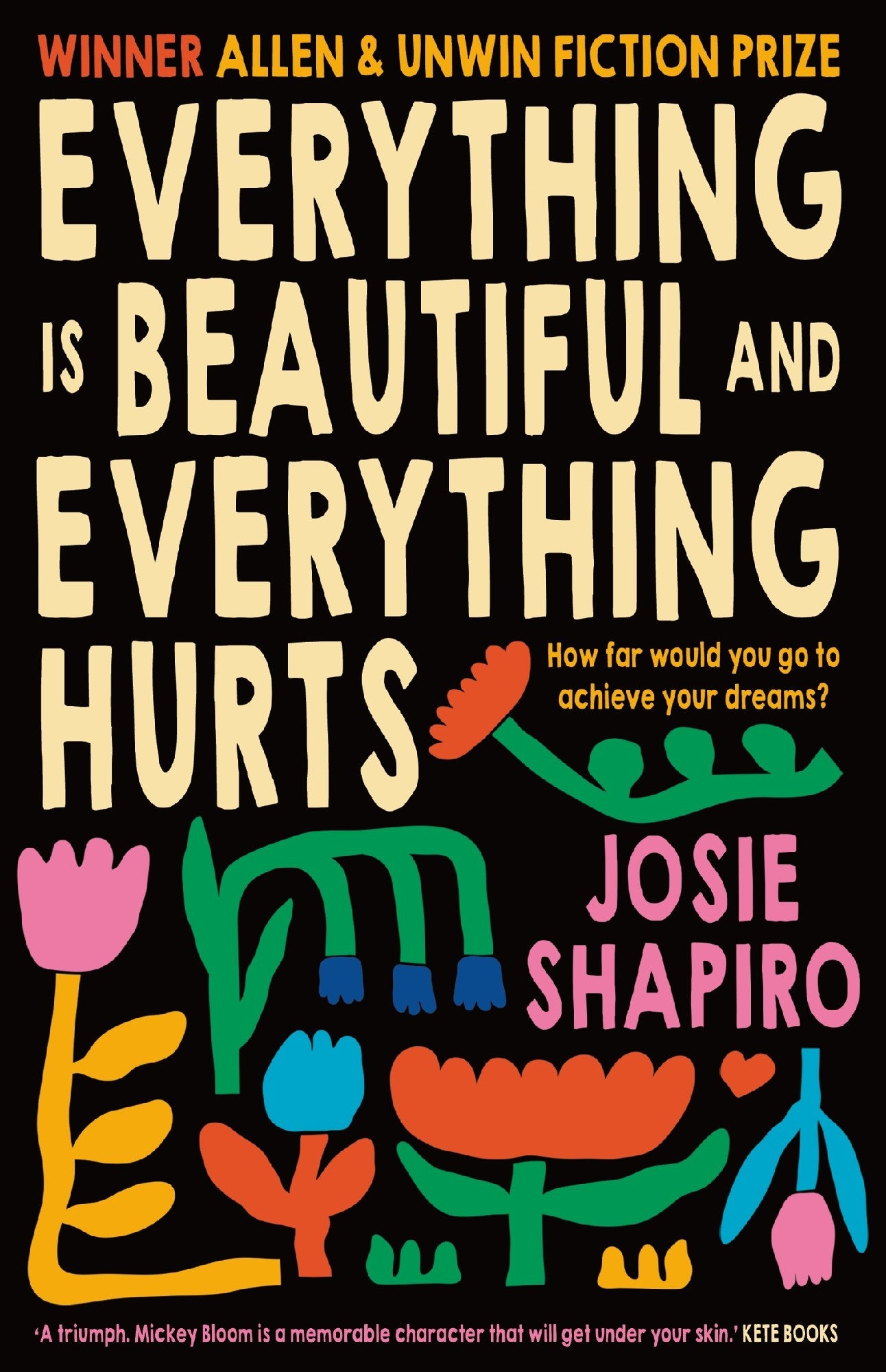 EVERYTHING IS BEAUTIFUL AND EVERYTHING HURTS - JOSIE SHAPIRO